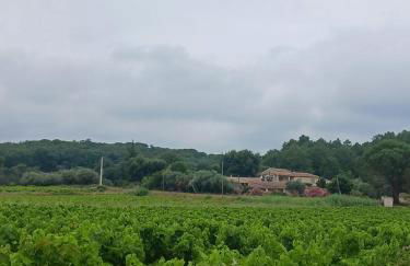 Maisonnette avec jardin - Foto 33