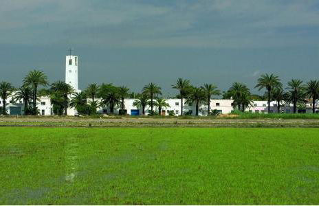 Can Carles - Delta del Ebro - Foto 55