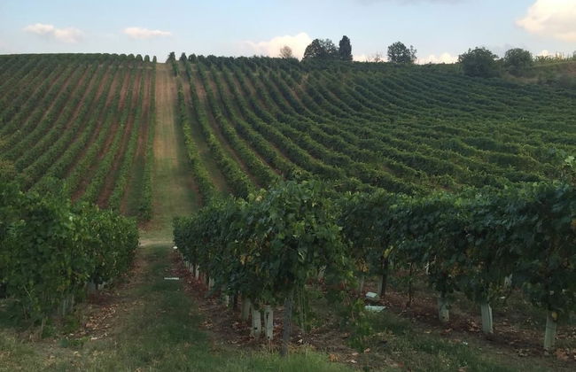 Agriturismo Borgo delle Vigne - Foto 36