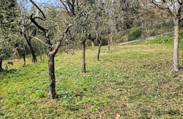 La Gesualda locazione turistica - Foto 51