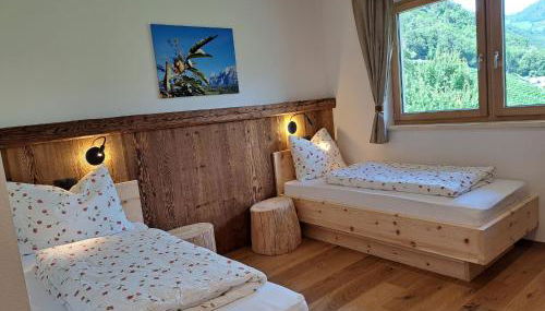 Pignathof Castanea - Foto 5