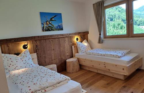 Pignathof Castanea - Foto 5