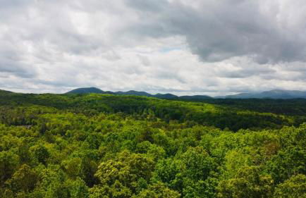 Above Expectations-New Exterior-Sleeps 8-Hot Tub-Games Galore-Nature - Foto 5