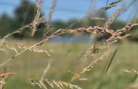 LandOase Buchhorst - Photo 24