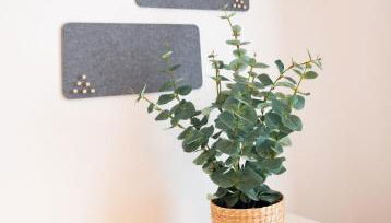 Arbio Monteurzimmer Fredersdorf parking included - Foto 2