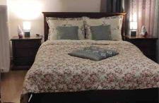 Little House - Photo 5