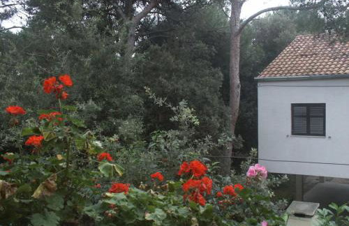 Apartments by the sea Artatore, Losinj - 2509 - Foto 53