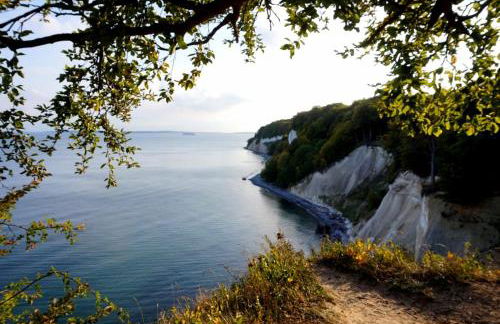 Fürstenhof Fewo Beagle - Foto 18