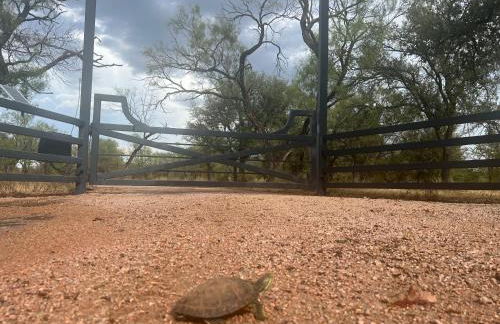 Hickory Ridge Hideaway Cabin - Romantic, Peaceful - Photo 11