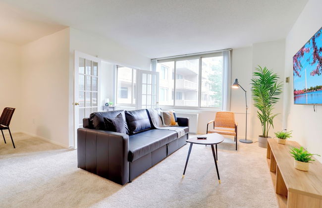 Comfortable Apt in Crystal City - Photo 12