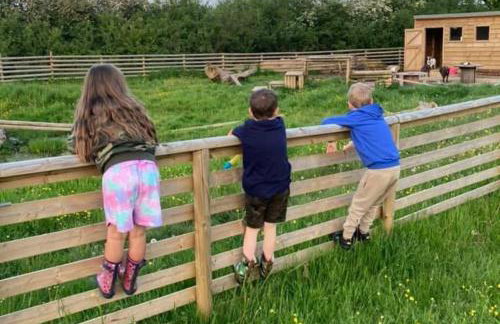 Beech Pod Cabin in beautiful surroundings Wrexham - Foto 5