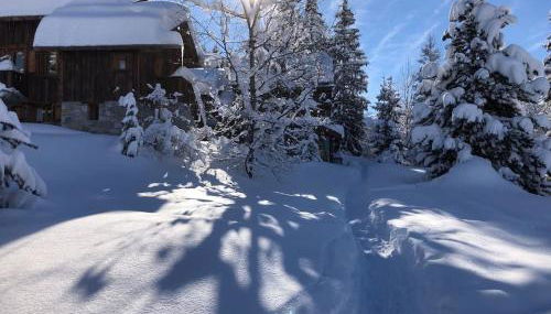 Meribel Altitude1600 chalet 6 personnes en pleine nature au milieu des pistes - Foto 2