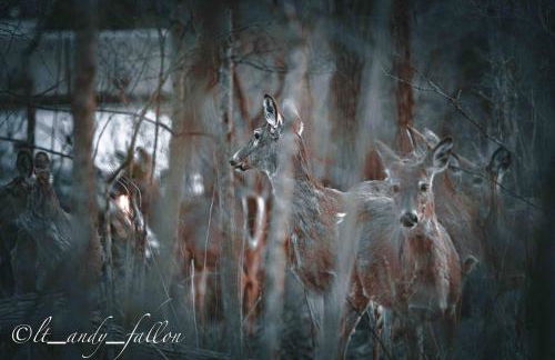 Luxe Spa Cabin: Hot Tub + Sauna + Fire - Foto 43