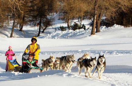 Sci e montagna vera - Foto 33