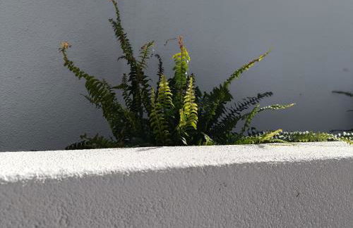 Gozo - new luxury villa with private pool - Foto 31