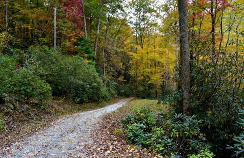 The Junction - Foto 29