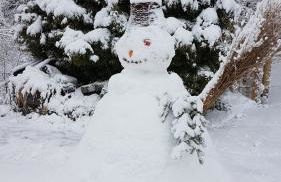 Manu's Ferienwohnung - Foto 32