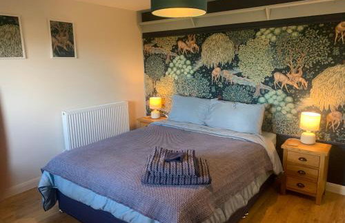 Field View - Foto 10