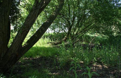 Watercress Barns - Photo 53