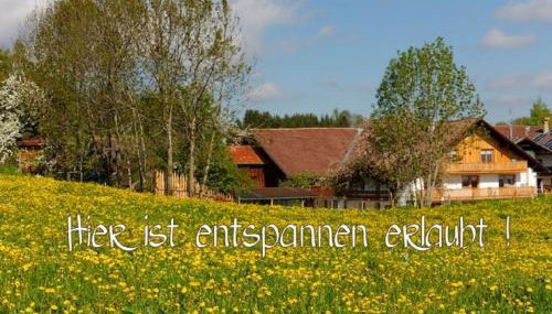 Ferienhof Am Holderbusch - Foto 4