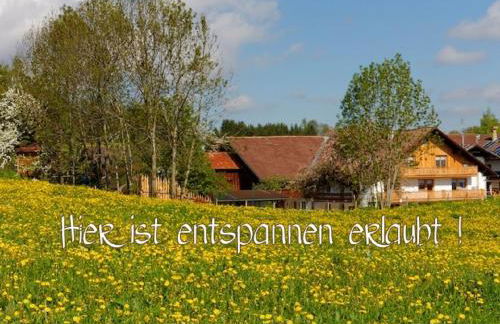 Ferienhof Am Holderbusch - Foto 4