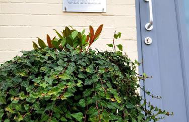 Chatterley House - Foto 127