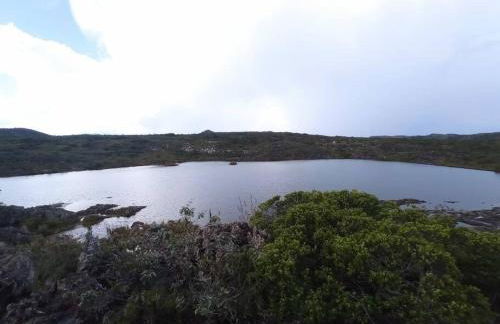 Diamantina, Curralinho Extração - Foto 76