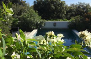 LES SANTOLINES - Studio Retro - Foto 18