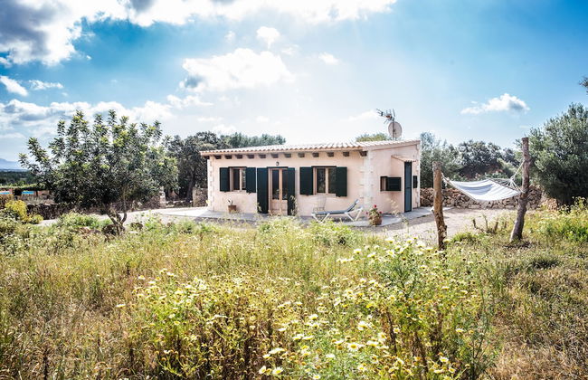 Finca Agroturismo Sa Cova den Borino - Foto 46