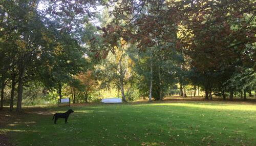 Rose cottage - Foto 4