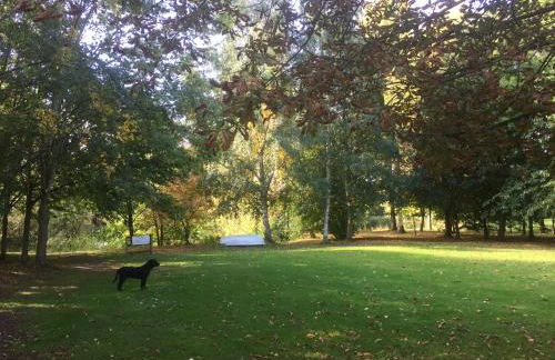 Rose cottage - Photo 4