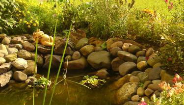 Haus Daheim - Foto 5, Garden