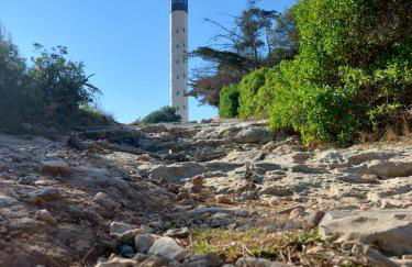 Vida frente al mar en el barrio de los pescadores - Foto 15