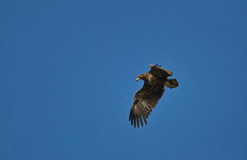 Ferienhaus Tura - Foto 50