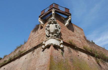 Tenuta Le Mandorlaie, Agriturismo in Scansano - Foto 38