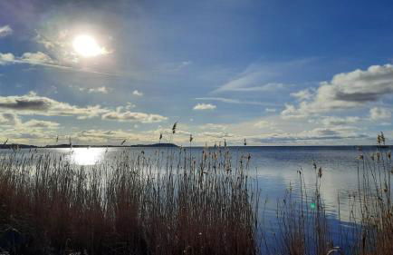 Ferienwohnung Schernau - Foto 11