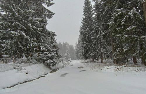 Strażnica Pod Lasem - Foto 70