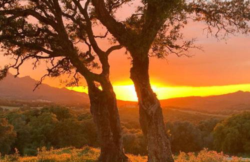 Maison typique de campagne au cœur de la nature . - Foto 15