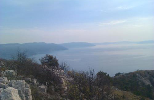 Apartments Plavčić - Foto 40