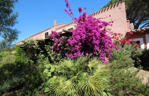 La Fattoria Delle Tartarughe - Foto 37