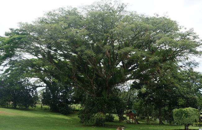 FINCA EL PÓRTAL - Foto 12