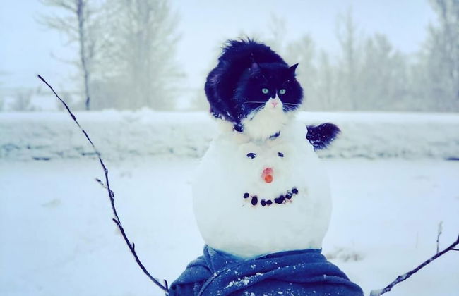 The White House - Foto 40