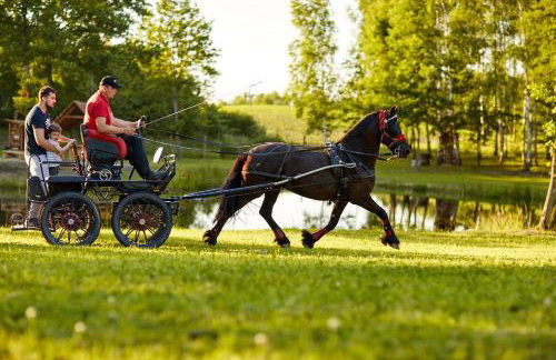 Apartamenty Białe Brzozy - Photo 5