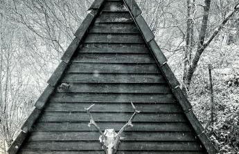 Wald-Chalet Vulkaneifel - Foto 23