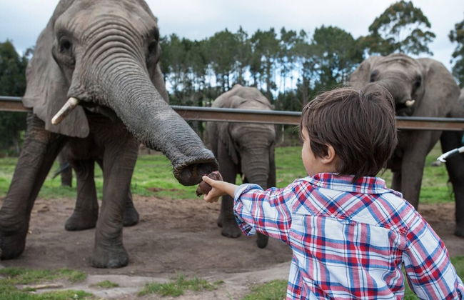 Chalet 40 Entire House Tranquil and Family-friendly Location - Photo 30