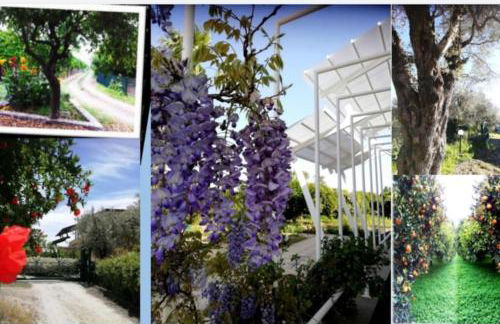 Panoramico, in villa, grande, con ampie terrazze - Foto 34