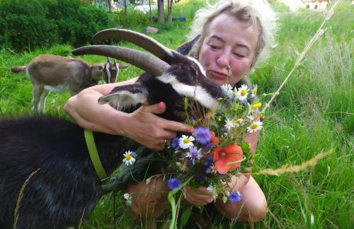 Agroturystyka na wsi w borach tucholskich - Foto 29