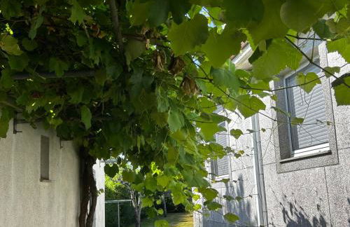 Casa Otilia - Rural - Camino de Santiago - Arzúa - Foto 23