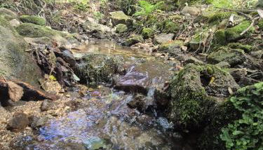 Little Haven Houses Lousada - Foto 5