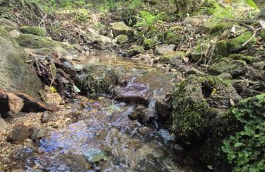 Little Haven Houses Lousada - Foto 5